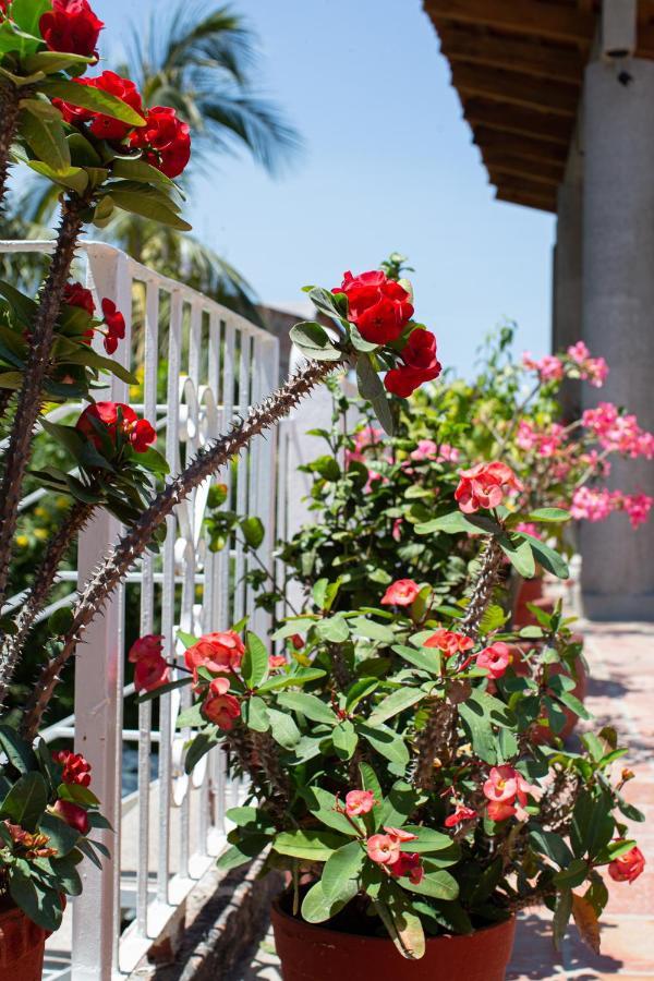 Casitas Miramar Puerto Vallarta Malecon Eksteriør billede